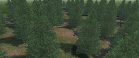 mp_buchberg_forest